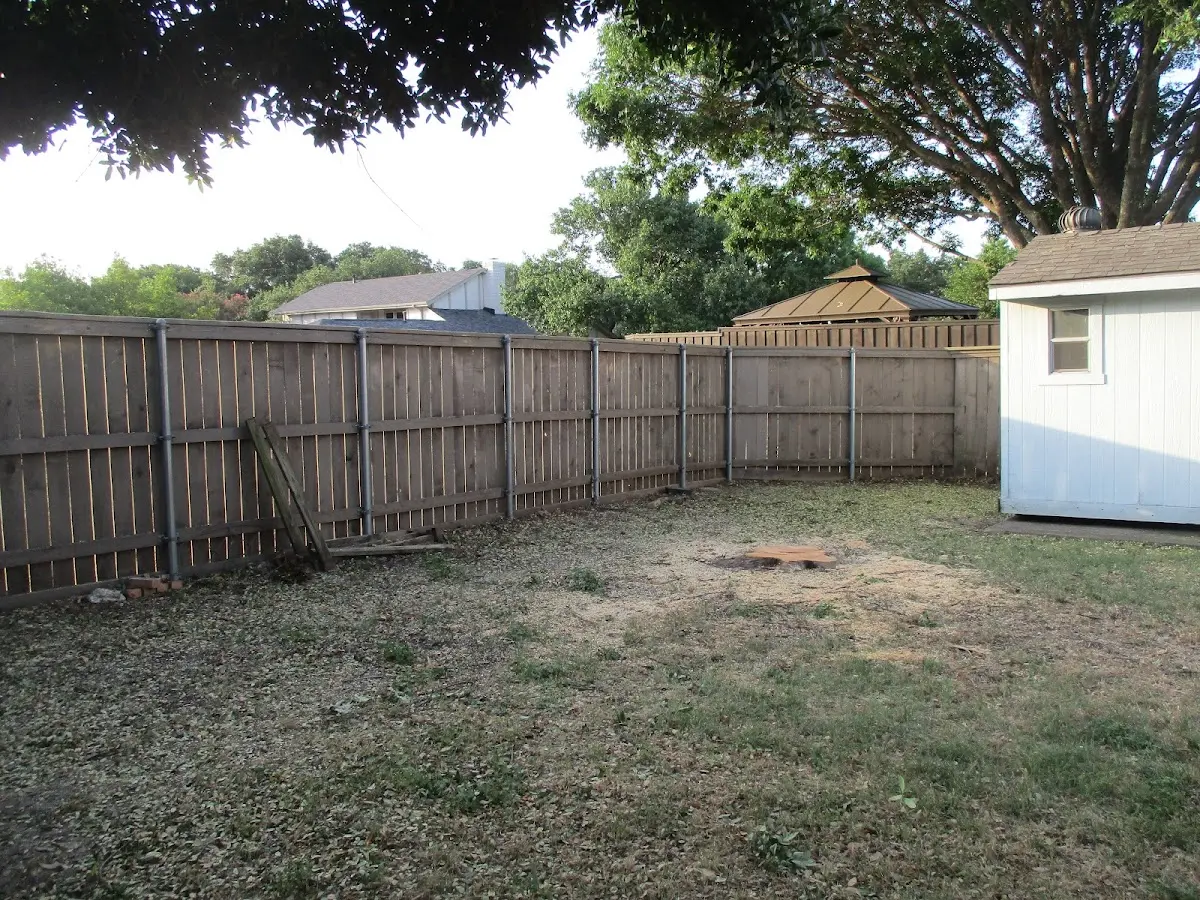 Cleared yard after professional tree removal in Alverton